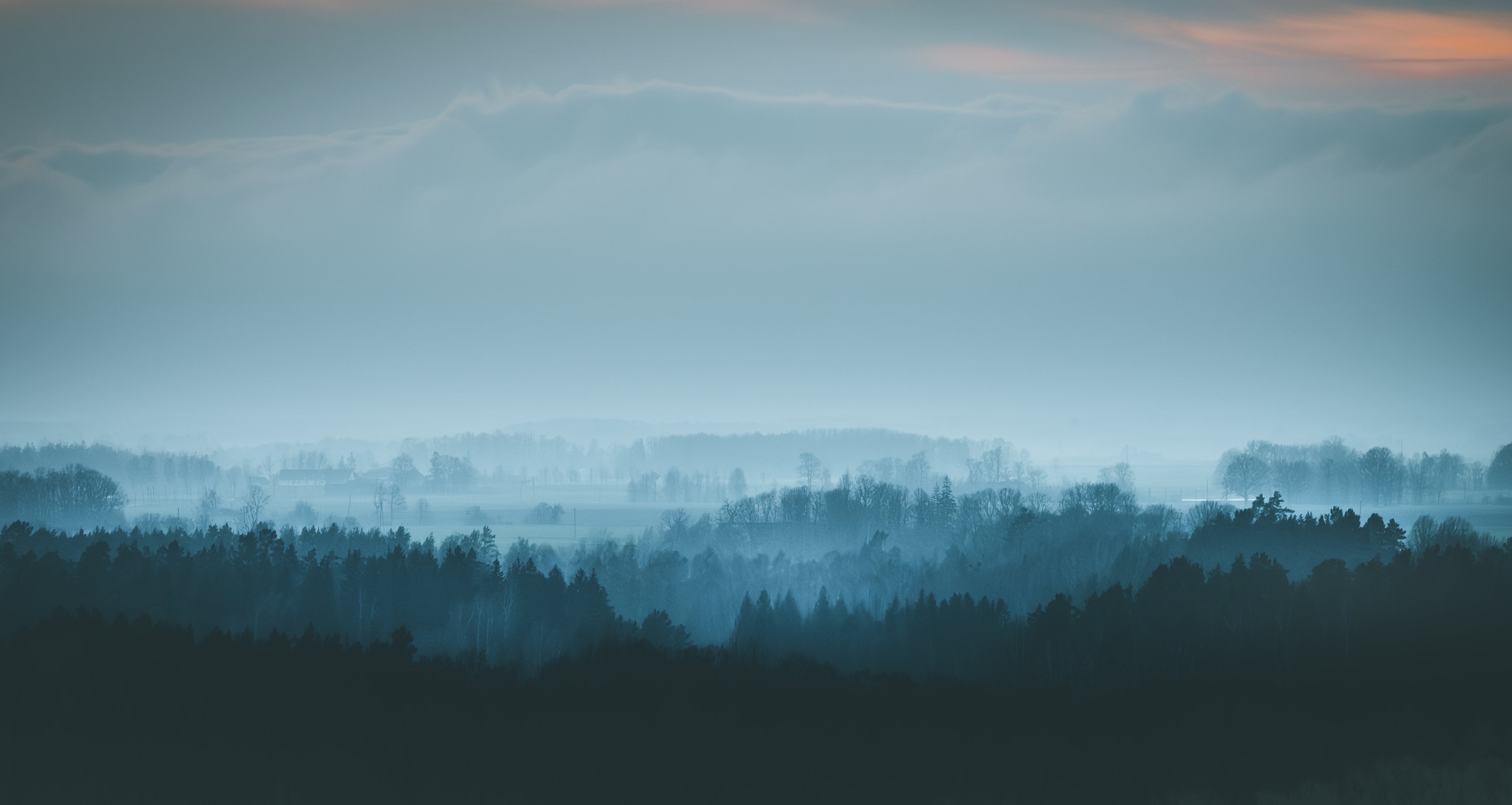Hintergrund Waldlandschaft mit Nebel und Dunkelheit 