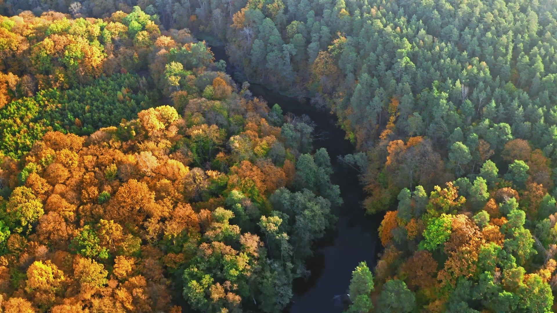 Video Startseite mit Textausführungen
